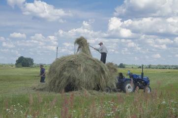 Эффект от продажи земли на Украине в первые годы достигнет 12 млрд гривен